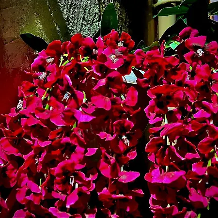 Le Centro Apartament Palermo